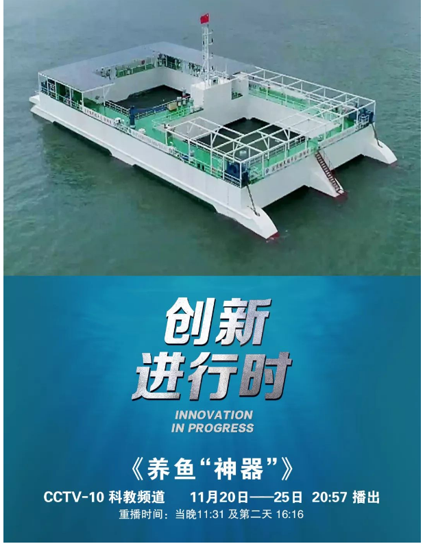風(fēng)再猛、浪再大，都攔不住我養(yǎng)魚的雄心！